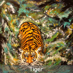 Tiger thumbnail